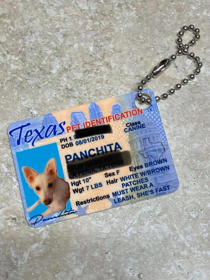 Personalized Pet ID Tag